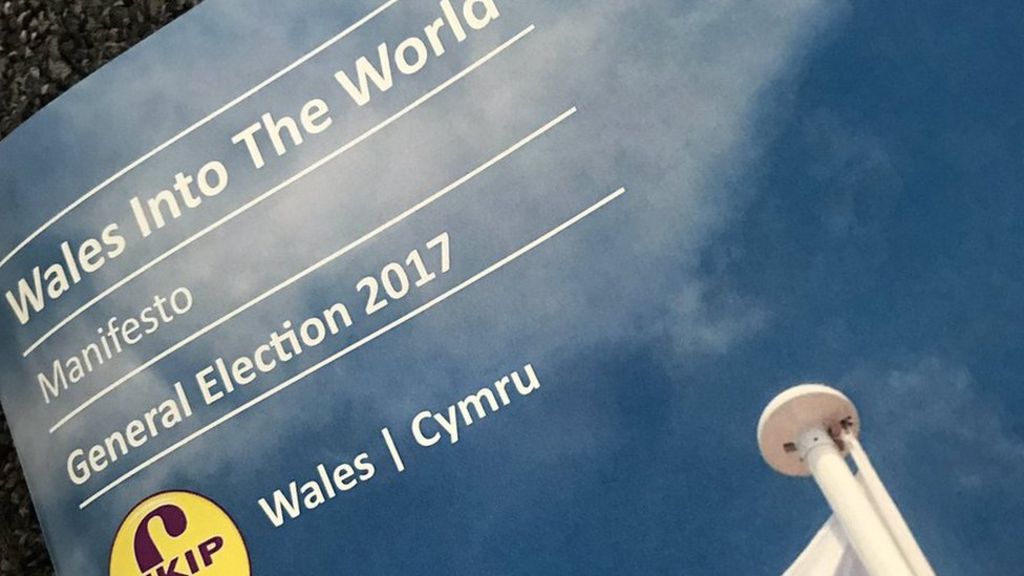 Maniffesto UKIP: 'Ymgyrchu eto i herio'r terfysgwyr'