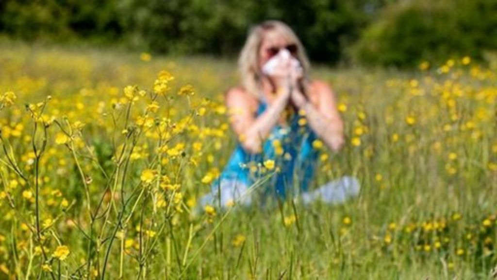 What are the different pollen types by month? - BBC Weather