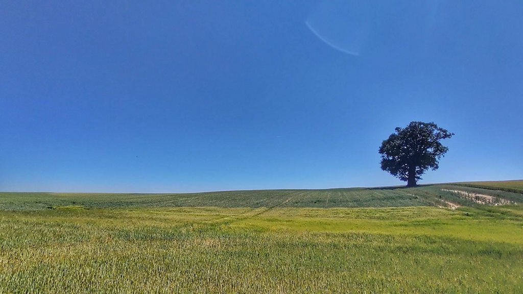 weather-for-the-week-ahead-bbc-weather