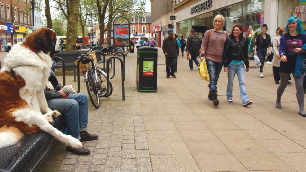 Passers-by look amused at the sight of a dog sitting in an upright position on a bench in Peterborough city centre.