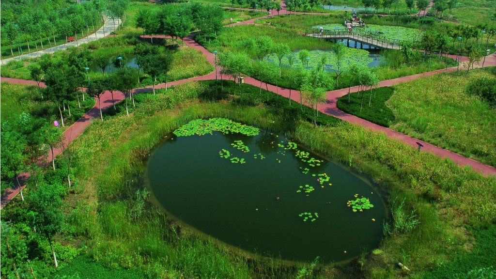 Picture of Tianjin Qiaoyuan park with wetlands