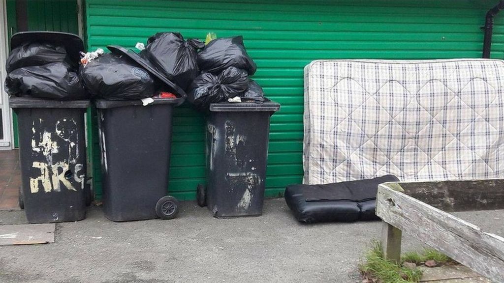 Four-weekly bin collections step closer