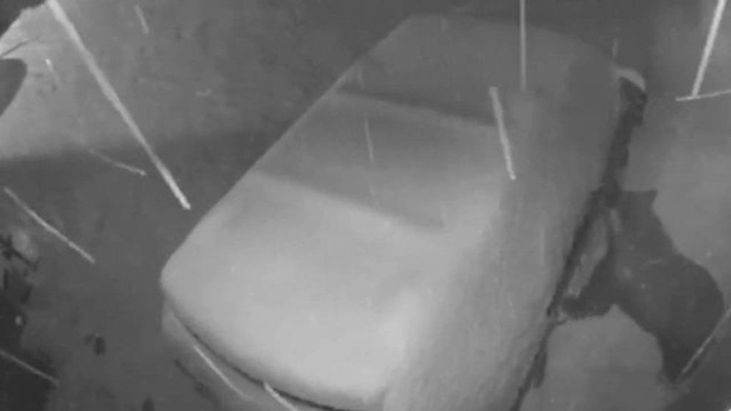 Footage from a store in Colorado shows the animal breaking into a snow-covered car.