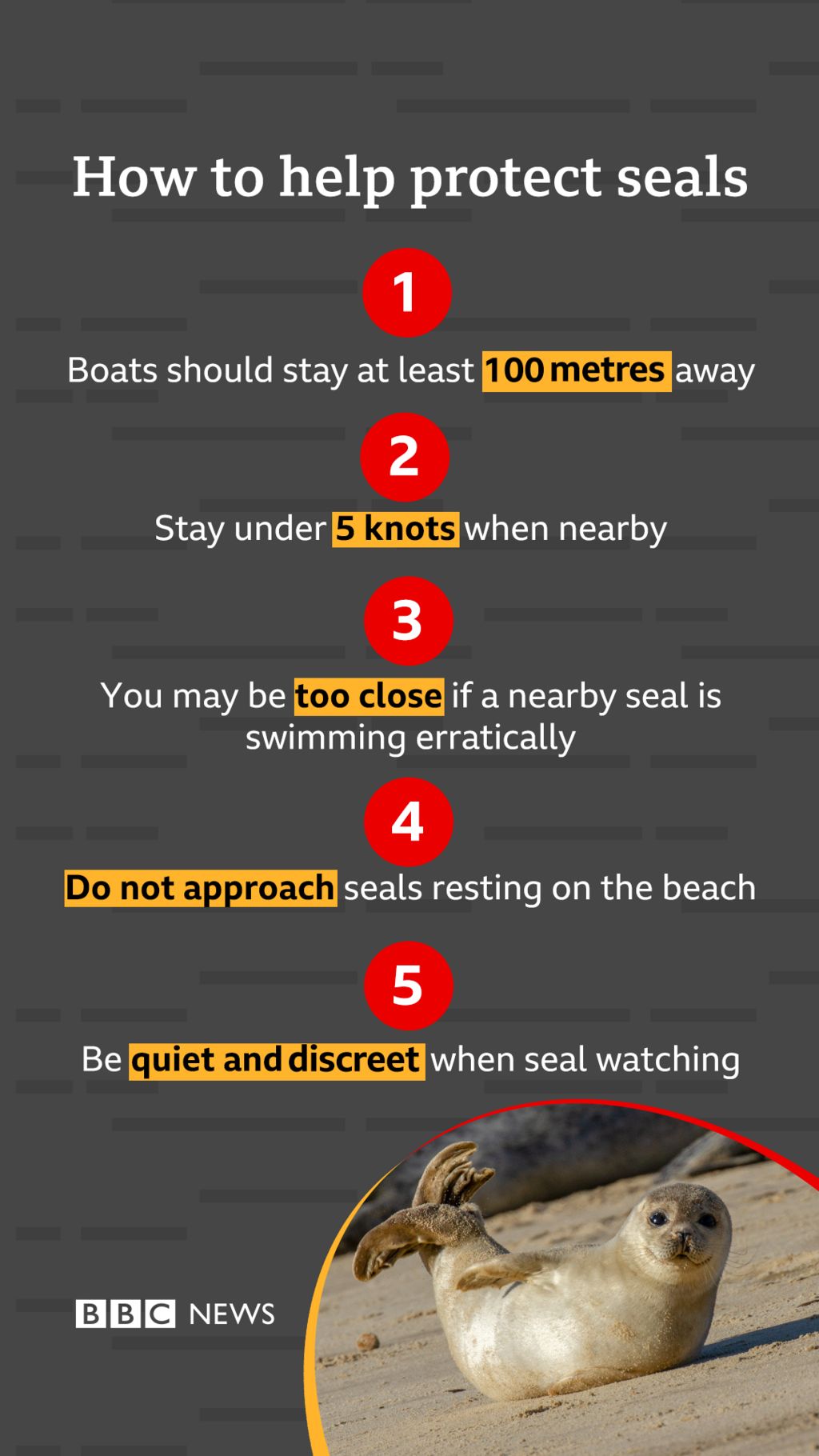 graphic on how to protect seals