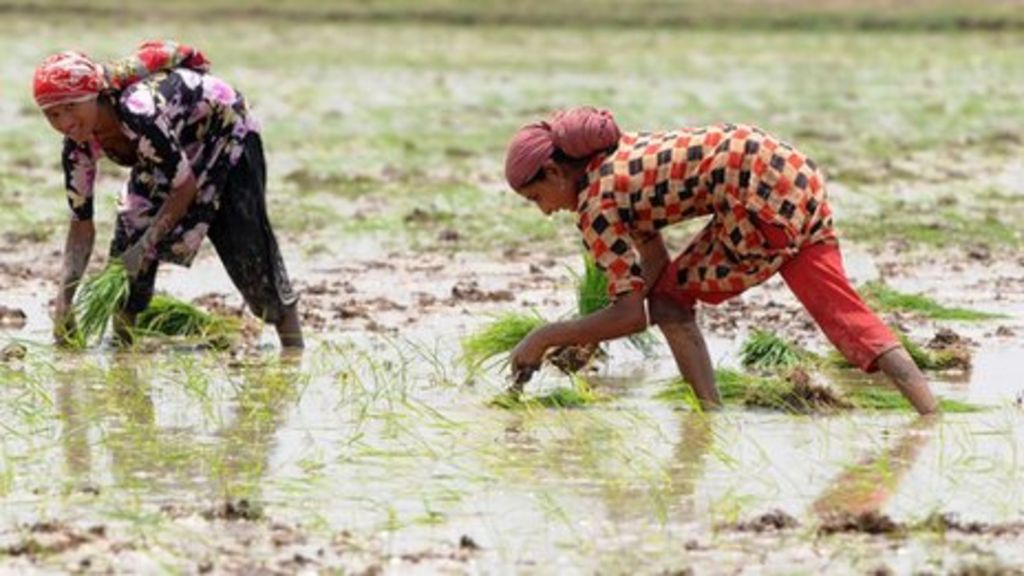 Food trade drains global water sources at 'alarming' rates