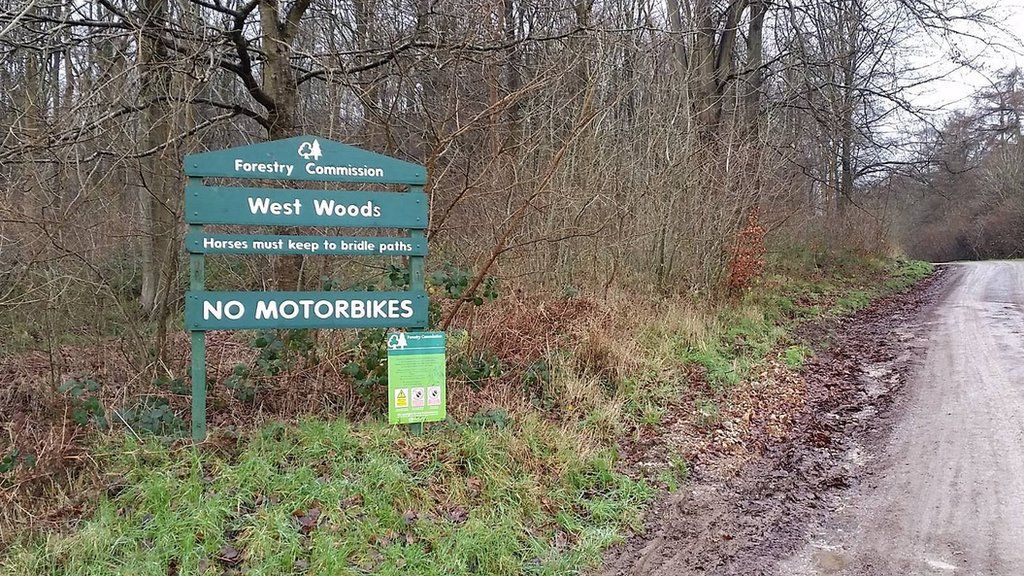 West Woods, Marlborough, Wiltshire