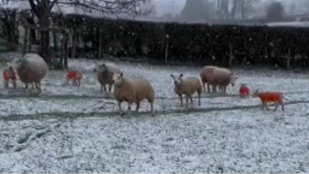 Snow in Wales Thursday 9 March