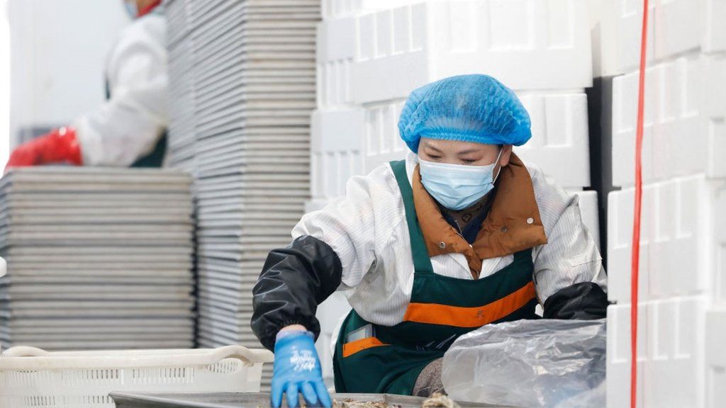 Woman in Soth Korea preparing crabs for export