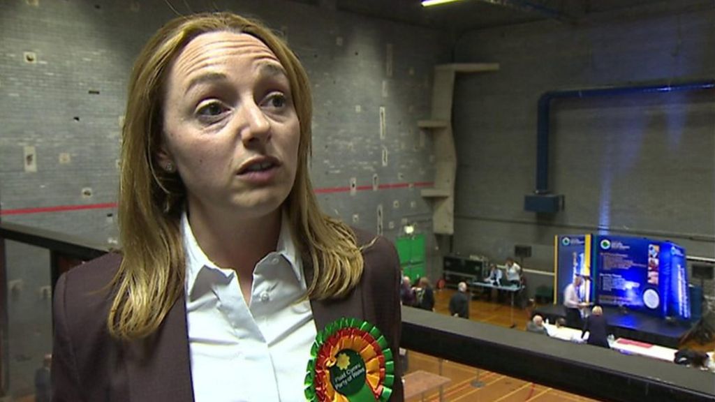 Plaid puts forward sole candidate for Anglesey council leader