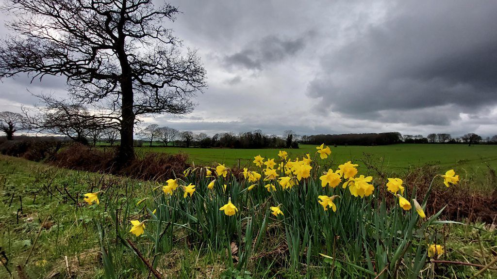 Weather for the week ahead bbc weather