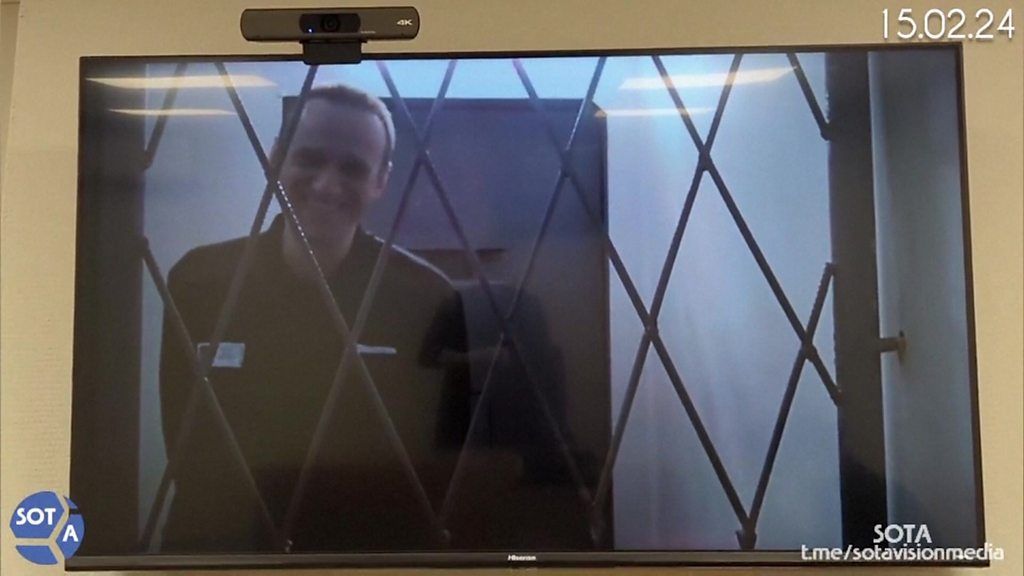 Alexei Navalny appears in Russian court via video link