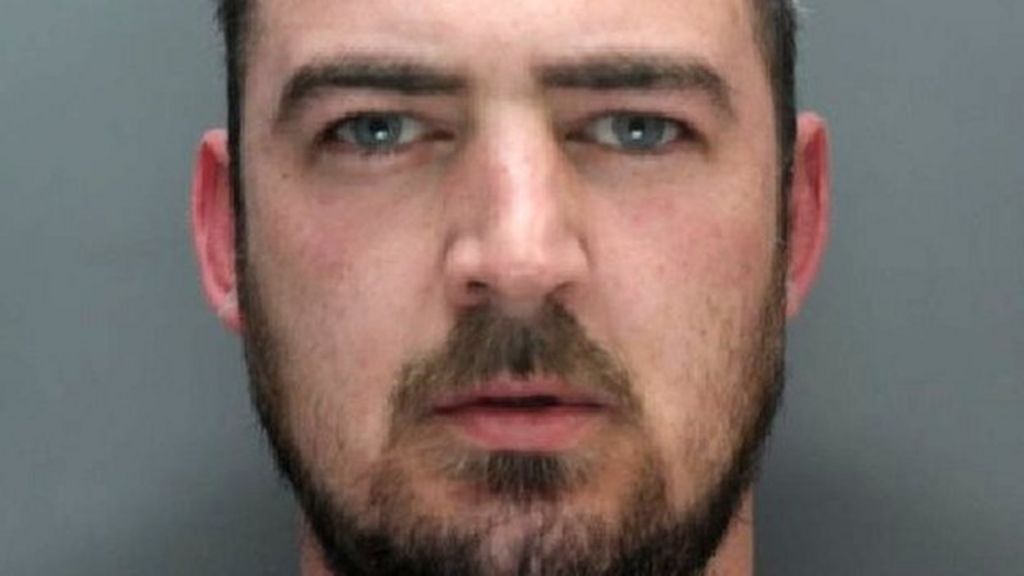 Andrew McGowan jailed over Dingle toddler dog attack