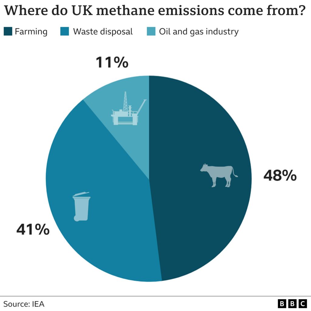 Graphic of UK methane emissions