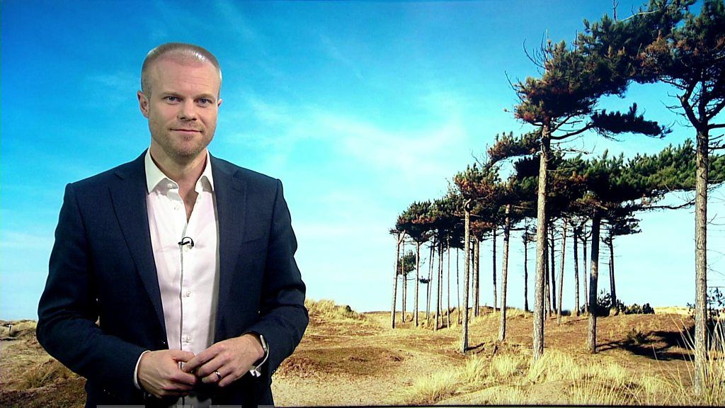 uk-weather-why-is-the-weather-so-warm-in-february-bbc-newsround