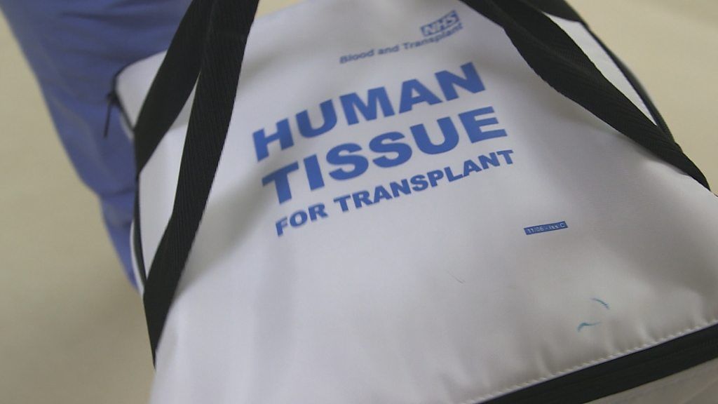 Human organ for transplant