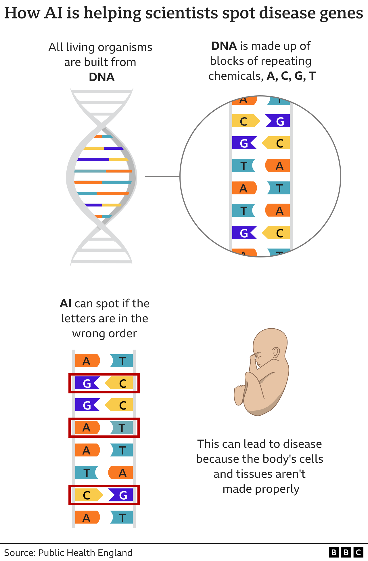 Графика, показывающая, как дефектная ДНК вызывает болезни