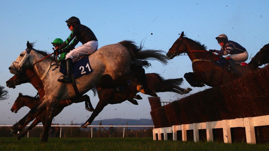 S G Carey on Corrin Wood (21) clears a jump in the Fulke Walwyn Kim Muir Challenge Cup Handicap Chase at Chaltenham in 2017