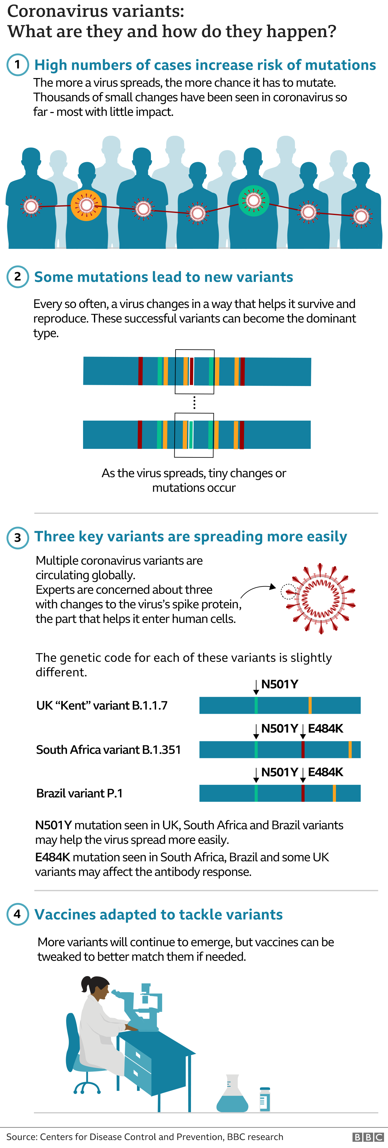 What are variants and how do they happen?