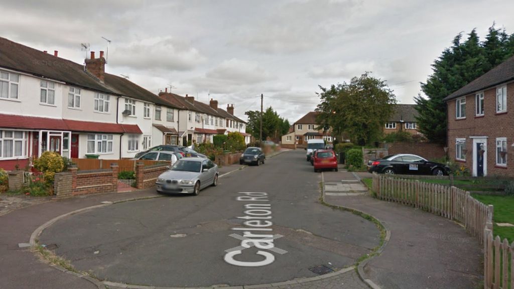 Boy, 5, attacked and bitten by two dogs in Cheshunt