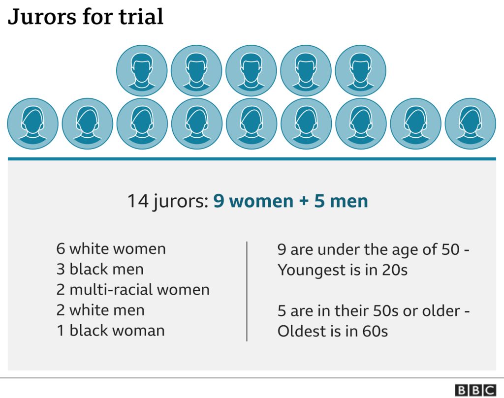 A graphic breaking down the jurors by age, race, and sex