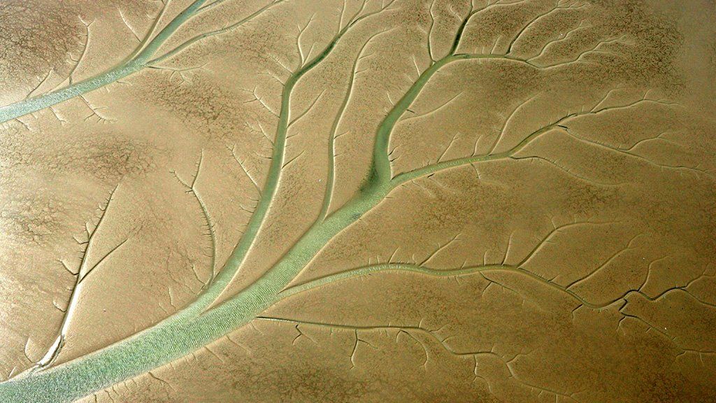 Marsh patterns at Blythburgh in Suffolk