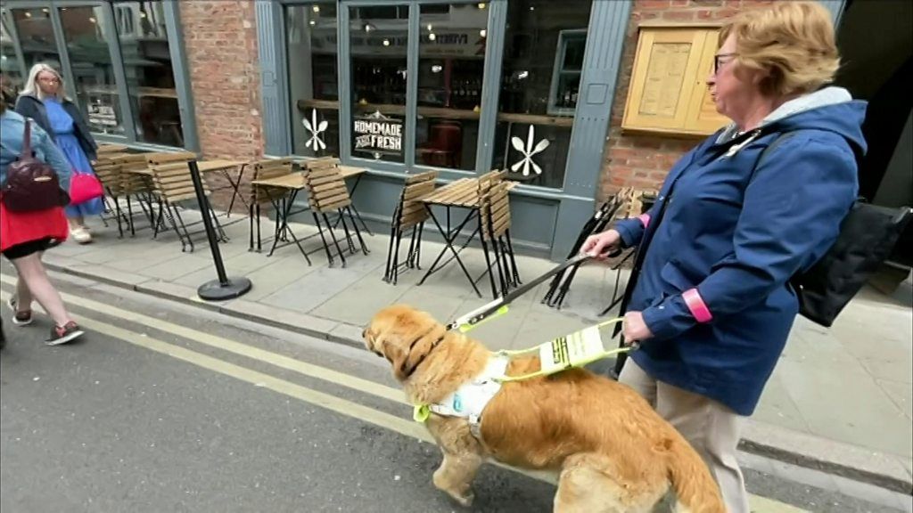 woman and guide dog