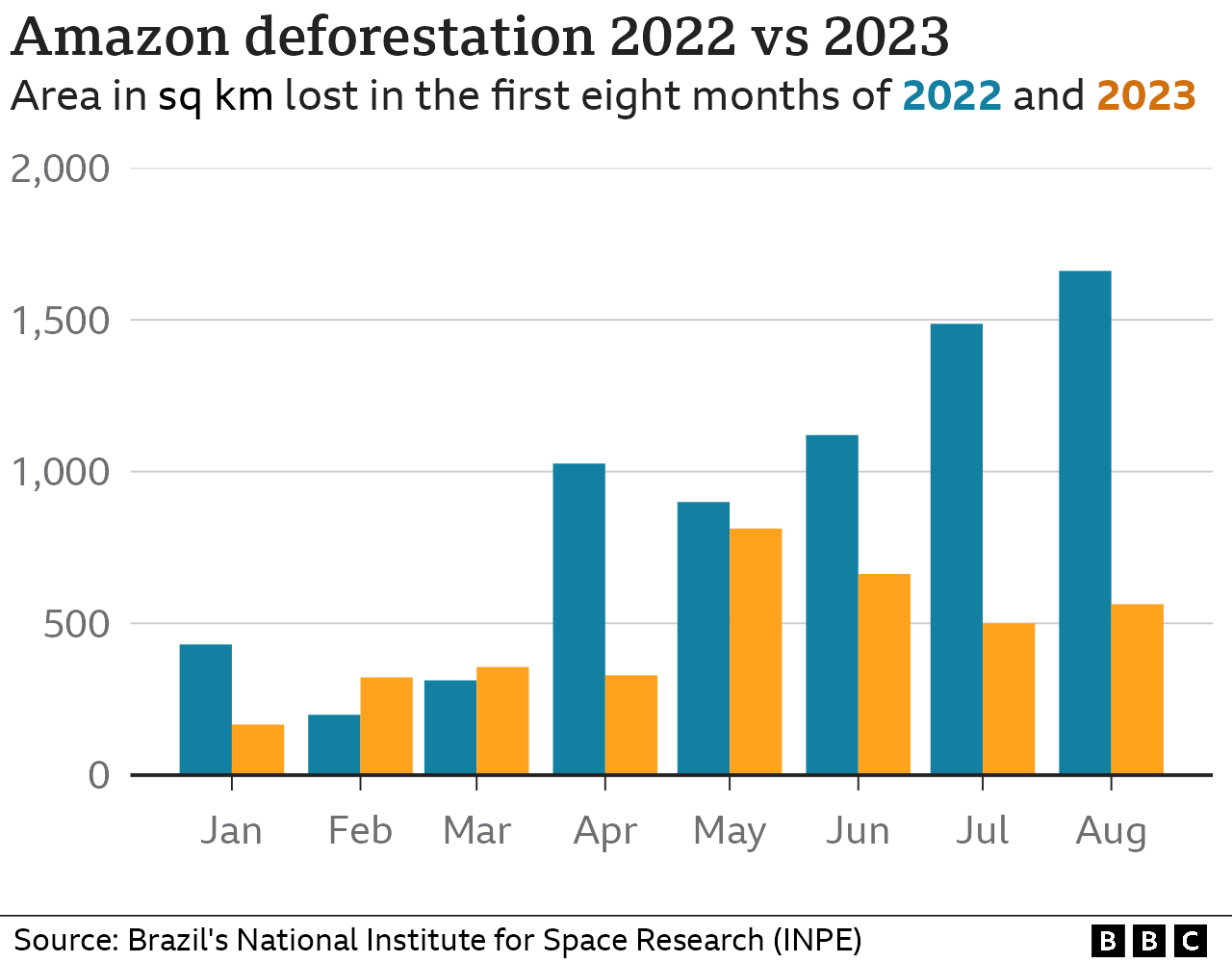 График, показывающий темпы вырубки лесов в этом году в бразильской Амазонии