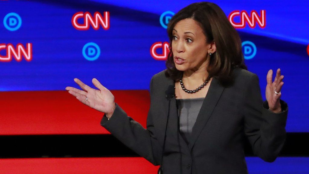 Democratic Debate Winners And Losers From Both Nights - BBC News