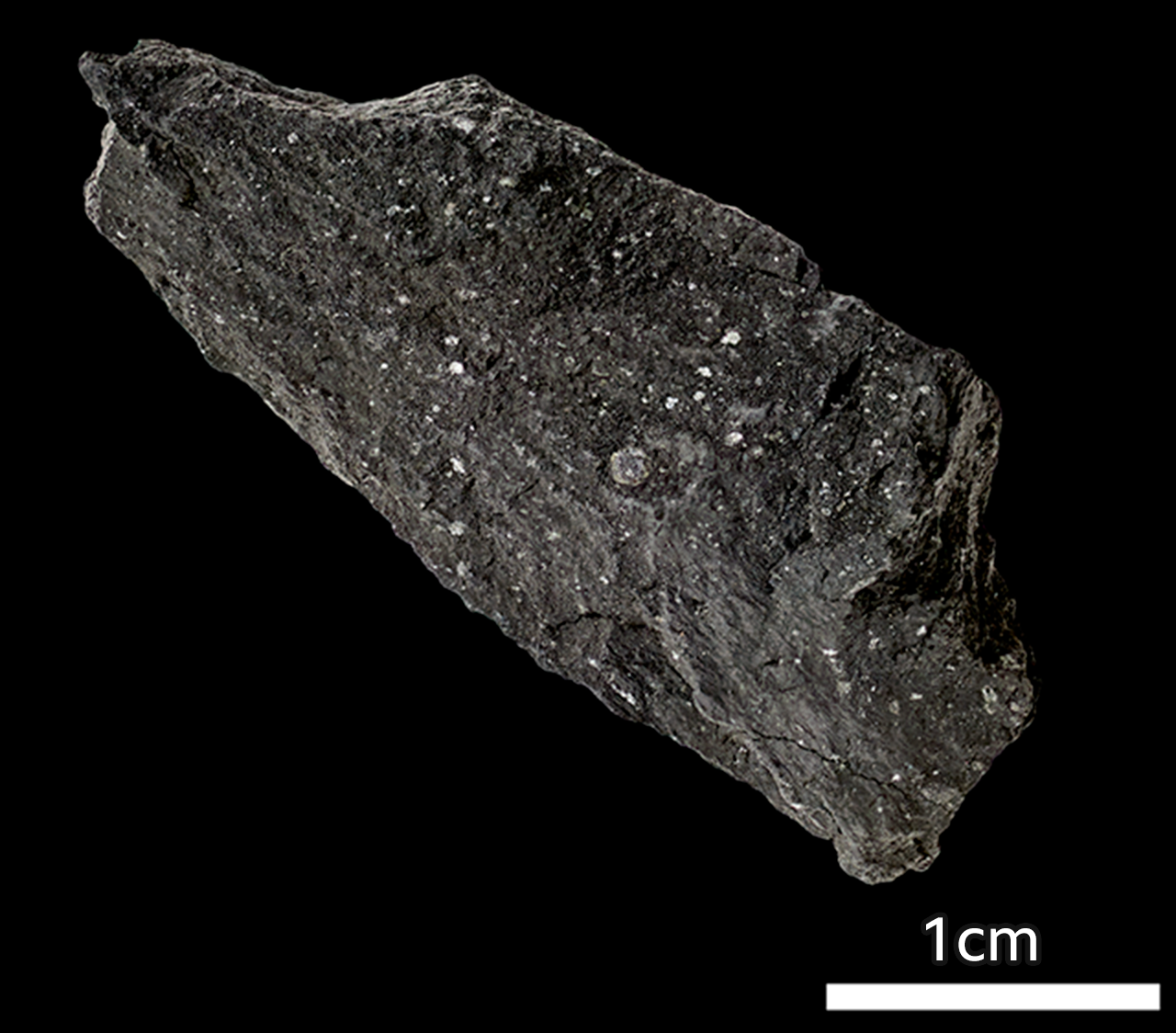 Winchcombe meteorite