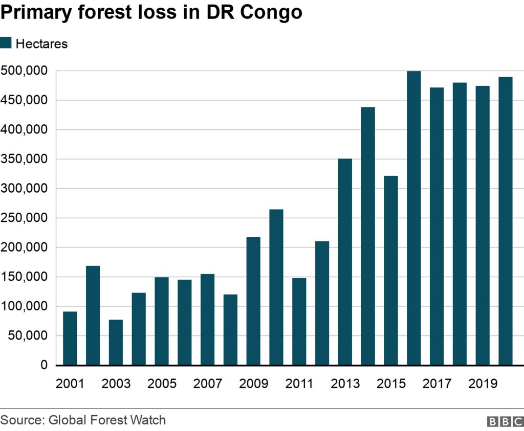 Гистограмма, показывающая ежегодную потерю лесов в Демократической Республике Конго