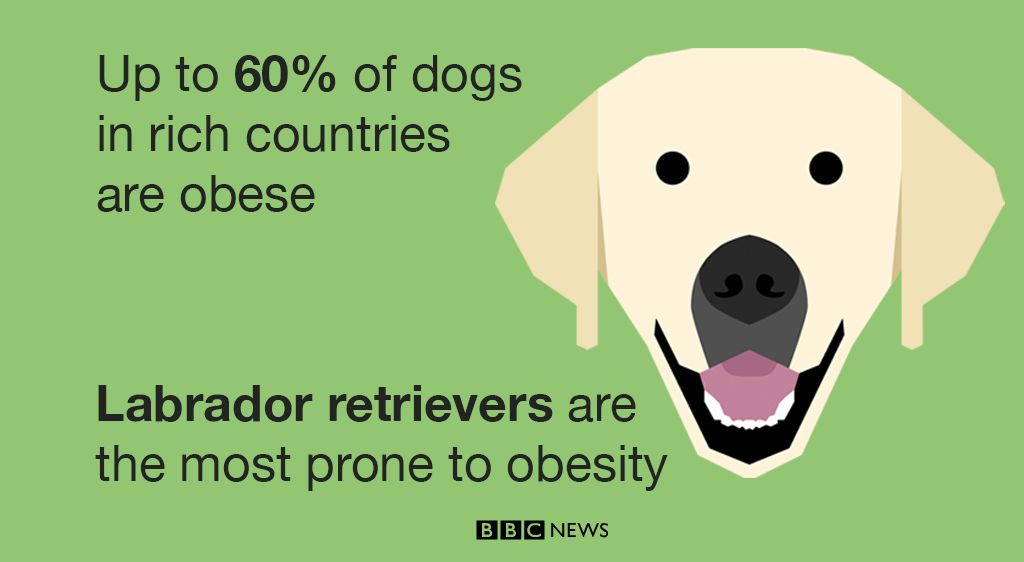 Go Figure: The week in numbers - BBC News