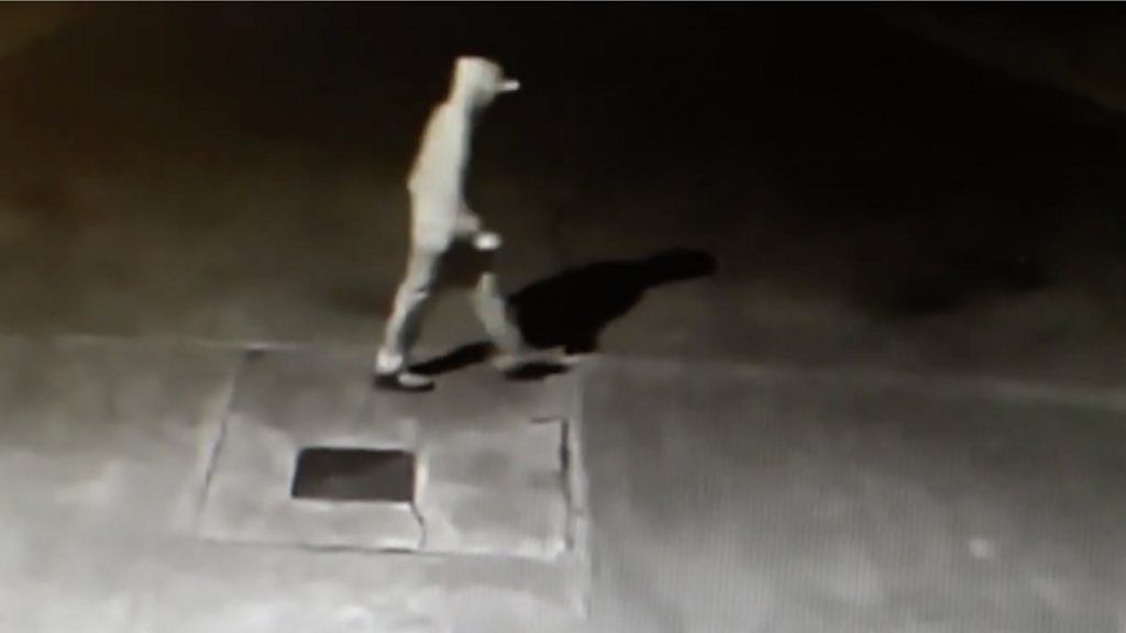 A still from the CCTV footage