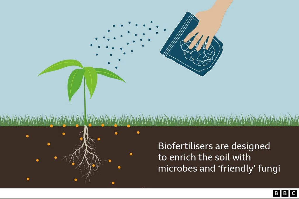 иллюстрация, показывающая применение биоудобрения к растению
