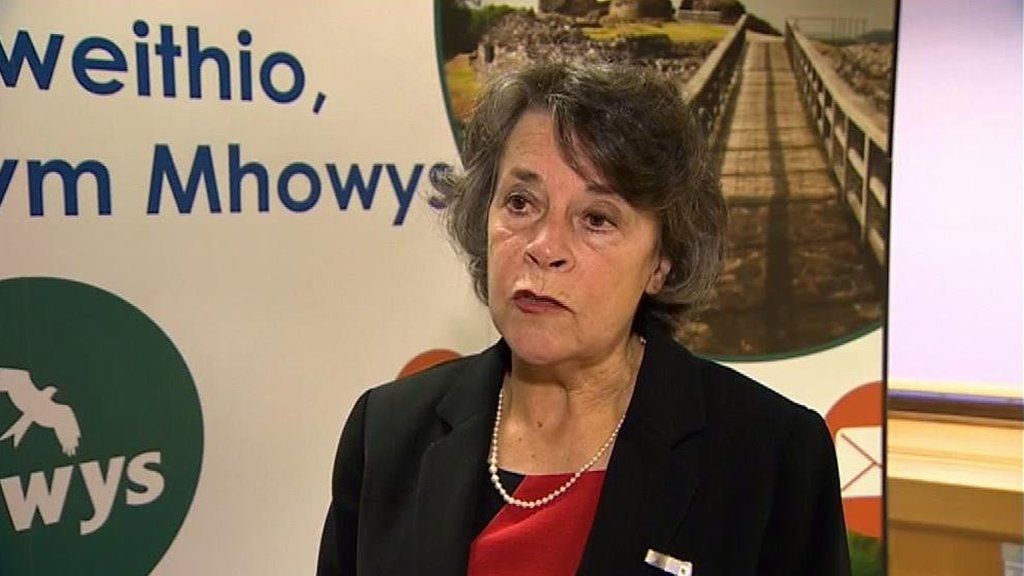 Powys Council leader Rosemarie Harris