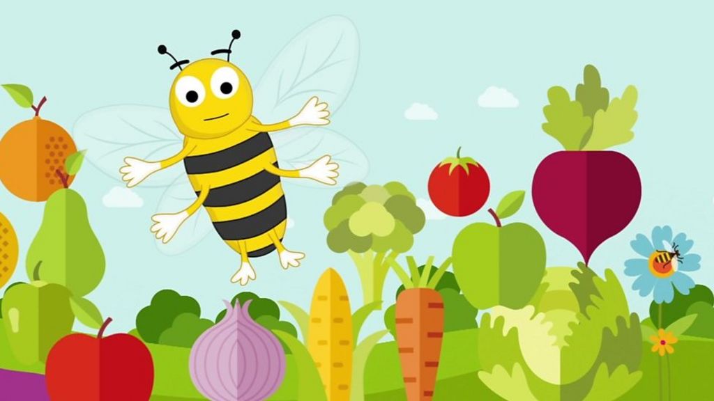 World Bee Day 2020 Why are bees so important? BBC Newsround