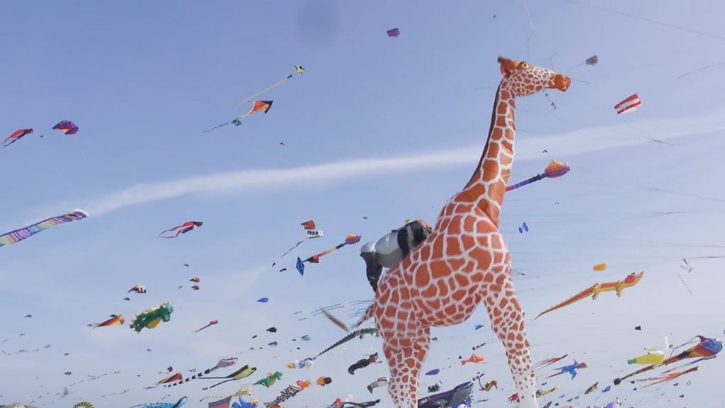 Why is this giraffe flying? BBC News