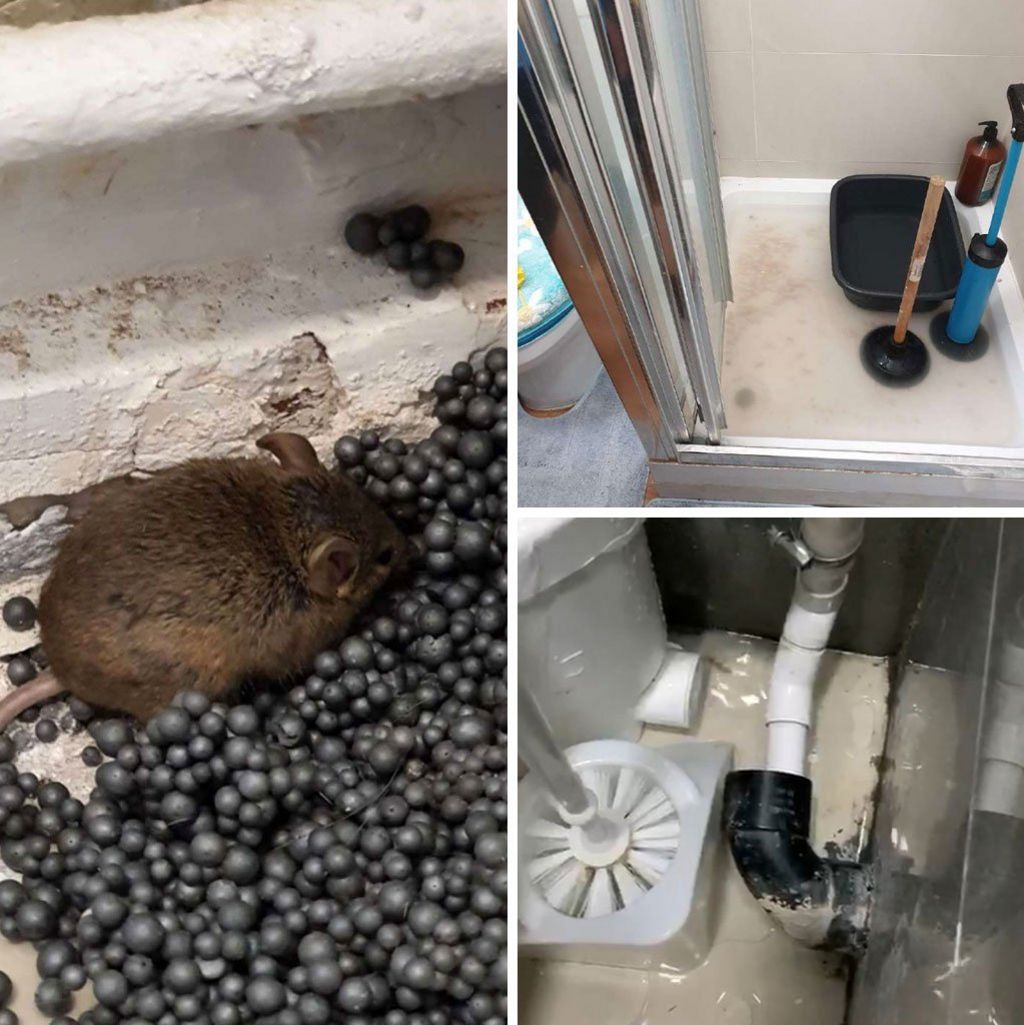 Photographs from Jess of a rodent eating poison, a blocked shower cubicle and leaking bathroom pipework