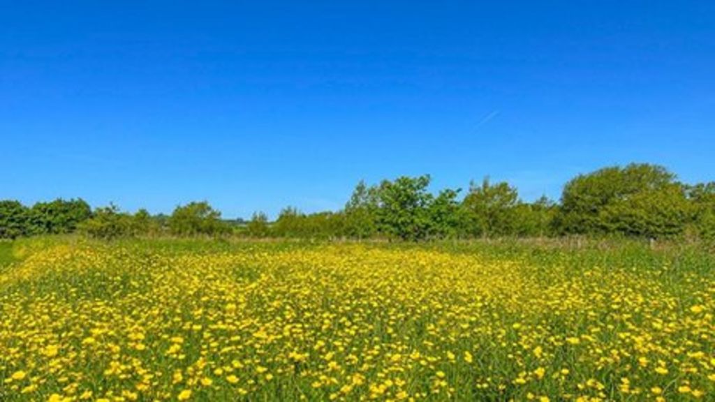 Weather For The Week Ahead BBC Weather weather-for-the-week-ahead-bbc-weather