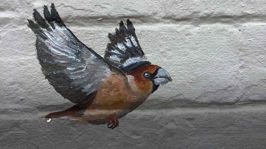 Painted bird on wall