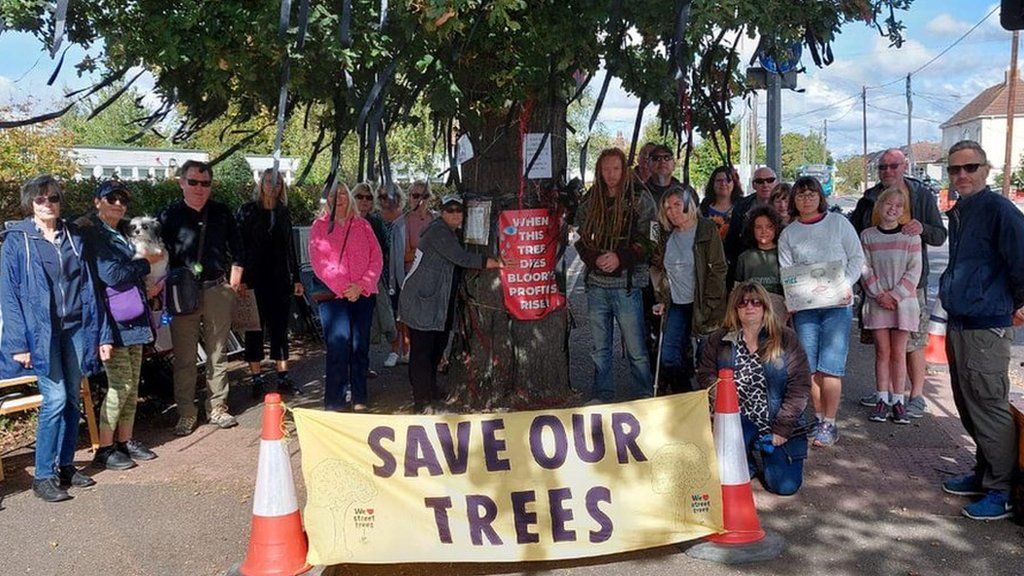 Resident campaigners at the Holt Farm oak tree in Rochford