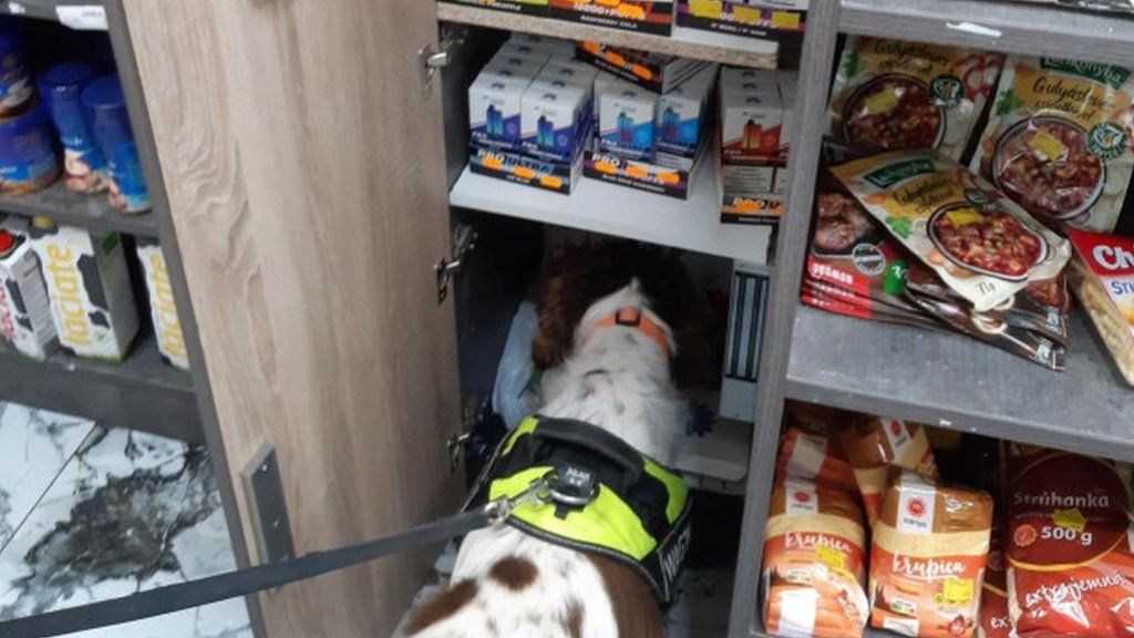 A concealment containing illegal vapes found by detection dog Billy