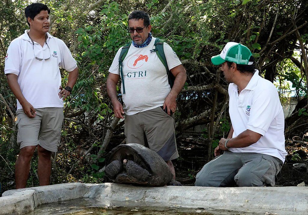 Washington Tapia (C), member of Galapagos Conservancy, and two park rangers, are pictured with a specimen of the giant Galapagos tortoise Chelonoidis phantasticus, thought to have gone extinct about a century ago, at the Galapagos National Park on Santa Cruz Island, in the Galapagos Archipelago, in the Pacific Ocean 1000 km off the coast of Ecuador, on February 19, 2019.