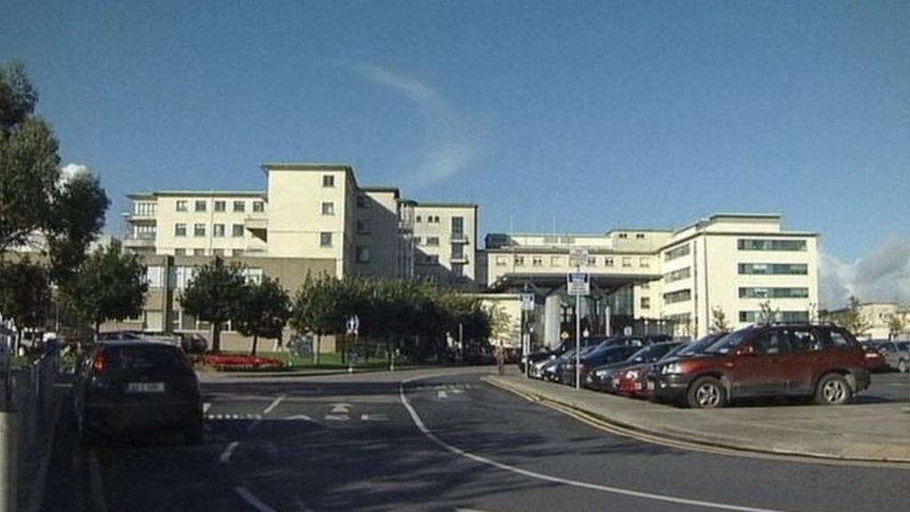 Woman killed in 'tragic' dog attack named