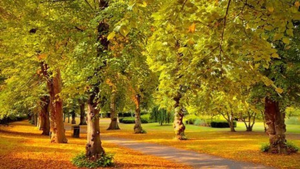 Weather For The Week Ahead BBC Weather weather-for-the-week-ahead-bbc-weather
