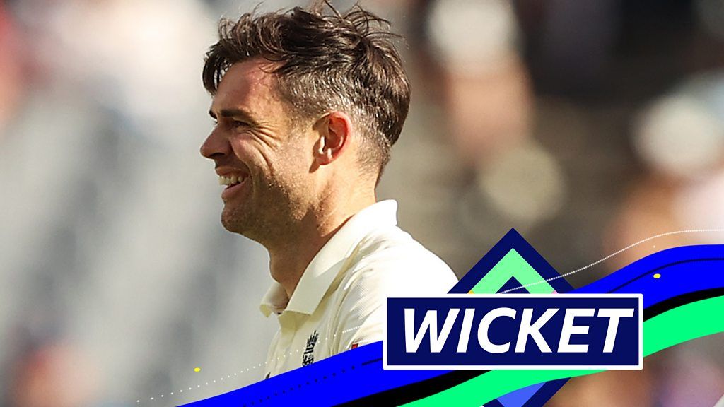 The Ashes: James Anderson dismisses David Warner for 38 with Zak Crawley catch