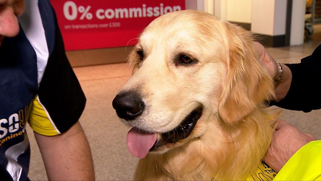 How a veteran with PTSD found a life-saving dog, love for Astros