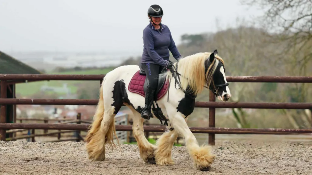 Llamadas de auxilio tras un incidente en el que un caballo saltó un muro para evitar un camión.
