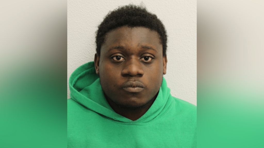 A custody image of Barthimaus Ehiemere in a green hoodie.