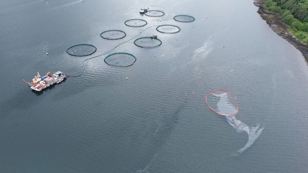 Aerial shot showing eight circular 'pods' of a fish farm with a large boat moored nearby and closer to shore, an oval shaped boundary around a rainbow coloured sheen, showing the oil contrasting with the water