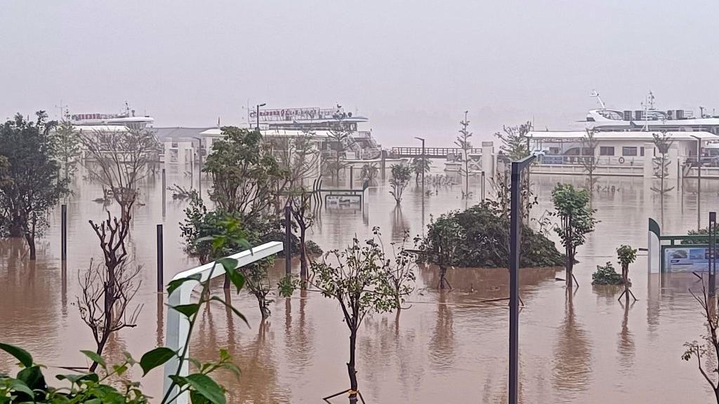 Trees are immersed in flood water along the south bank pier of Beijiang River in Qingyuan city, Guangdong province